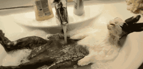 /upload/localpc/newsimg/004.gif